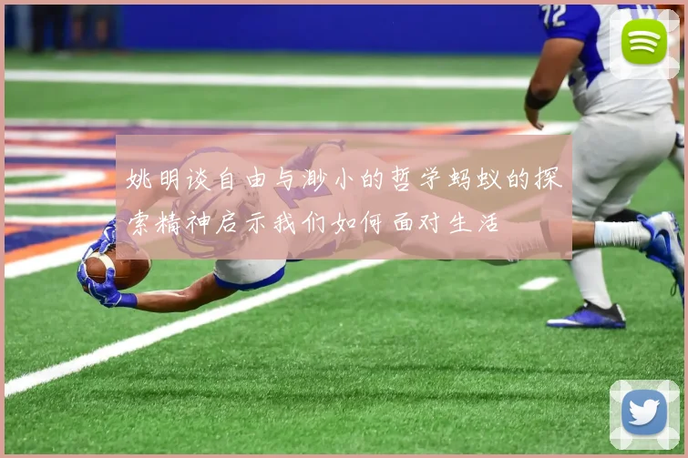 姚明谈自由与渺小的哲学蚂蚁的探索精神启示我们如何面对生活
