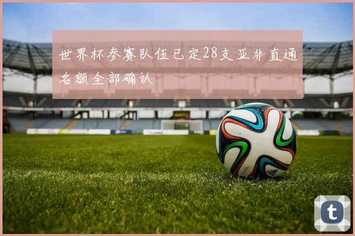 世界杯参赛队伍已定28支亚非直通名额全部确认
