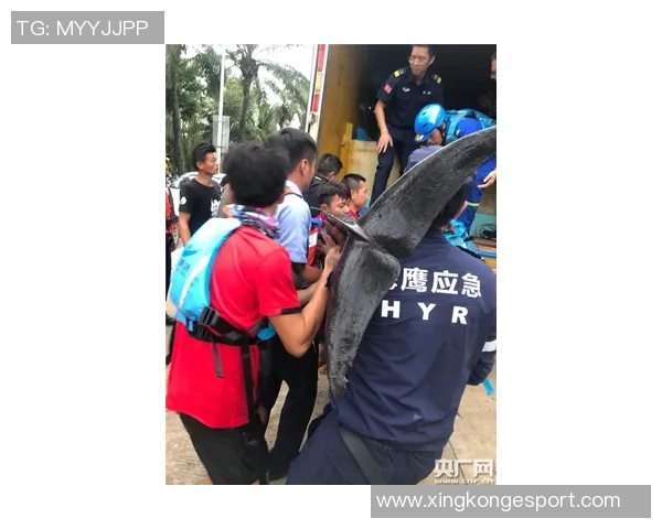 医学专家警告DV9伤复发风险大强烈建议优先考虑非手术治疗方案 医学专家警告DV9伤复发风险大强烈建议优先考虑非手术治疗方案